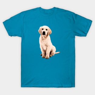 Golden Retriever Puppy T-Shirt